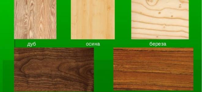 Как сделать стол своими руками из дерева?