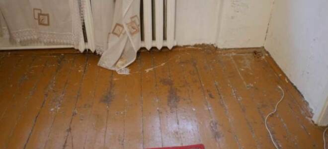 Чем можно снять краску с дерева?